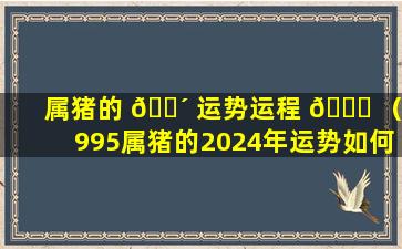 属猪的 🐴 运势运程 🐕 （1995属猪的2024年运势如何）